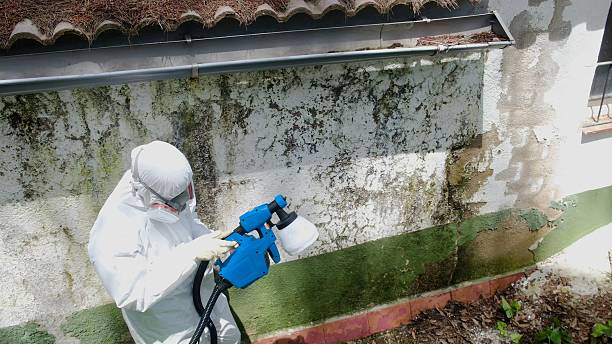 Top rated local Attic Mold Removal specialists in Cassville, PA